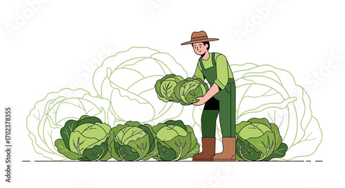 Farmer Harvesting Fresh Cabbages From A Lush Green Field Ready For The Market