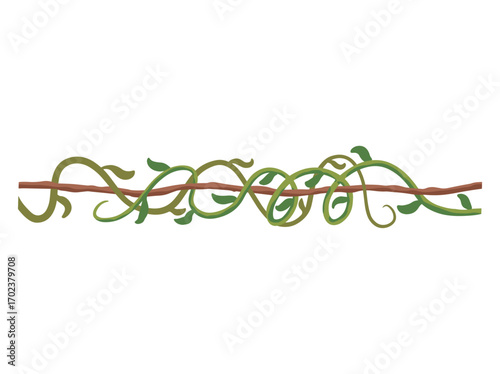 Hanging Vines or Tropical Jungle Liana Tree Branch Vines
