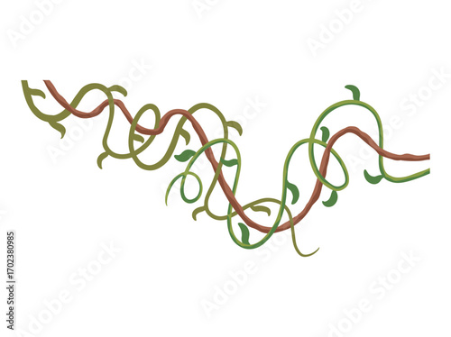 Tropical Jungle Tree Branch or Forest Thicket
