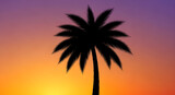 Palm Tree Silhouette Against Colorful Gradient Sunset Sky