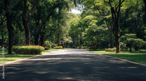 Minimalist Outdoor Park Pathway with Trees and Sunlight – Clean Nature Background for Design and Web
