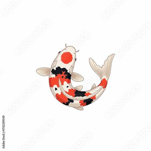 Japanese Koi Fish Illustration - Colorful Ornamental Carp Swimming Elegantly