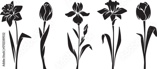Vector black silhouettes of spring flowers tulips, narcissus and iris on a white background.

