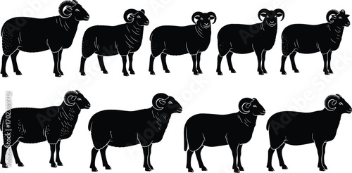 Ram silhouette collection, sheep animal vector, horned rams standing, wild mountain animals, farm livestock, black and white design, nature wildlife