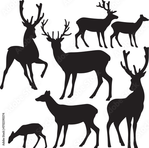 Deer silhouette set. Deer black and white silhouette set - vector collection of wild animals detailed outlines
