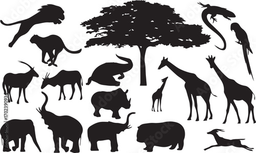 African wildlife vector. African wildlife fine silhouettes - black and white fauna and flora detailed outlines
