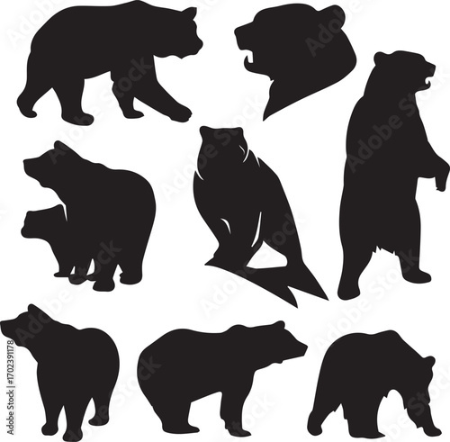 Grizzly bear detailed black and white vector silhouette set. Wild grizzly and brown bear silhouette set - walking, standing, rearing up animals black vector outlines
