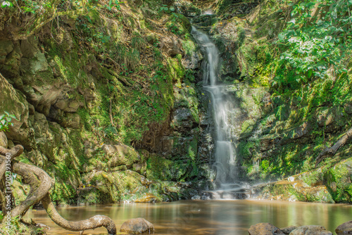Agua
