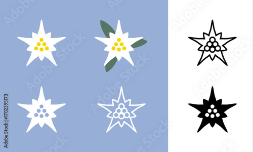 Edelweiss alpine flower icon set