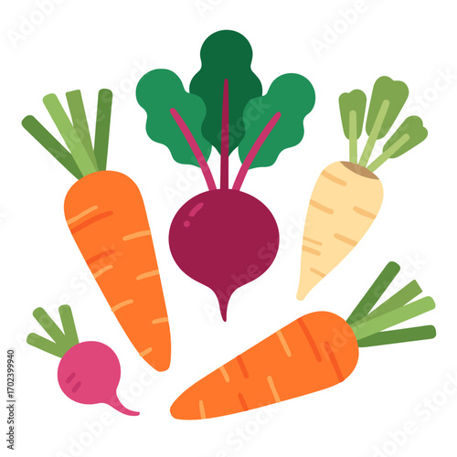 Colorful Flat Design Illustration of Fresh Root Vegetables Including Carrots, Beetroot, and Parsnip
