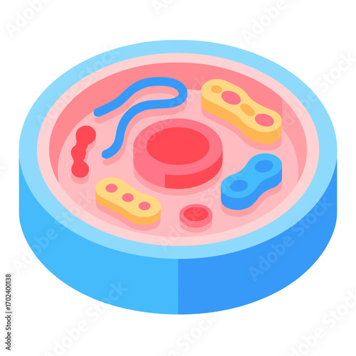 Isometric Illustration of a Biological Cell Structure with Organelles and Nucleus for Scientific Visualization