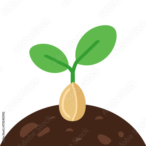 Illustration of a Seedling Sprouting from the Ground, Representing Growth and New Beginnings