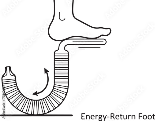 Diagram of a Prosthetic Foot Illustrating an Energy Return Mechanism