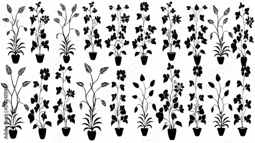Elegant floral silhouettes in pots for a modern, minimalist botanical design project or nature themed decoration