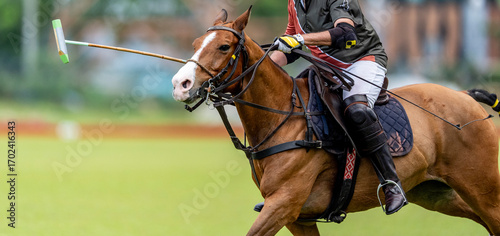 Foto Dynamic polo player on a horse