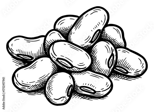 Pile of Few Bean Granules in Vintage Black and White Outline Line Art Drawing Engraving Style