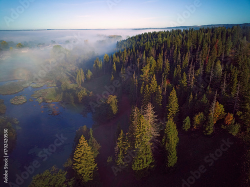 Aerial view landscape on foggy morning in countryside with lake and forest

