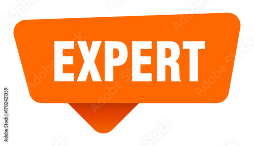 expert sticker. expert orange sign isolated on transpatent background