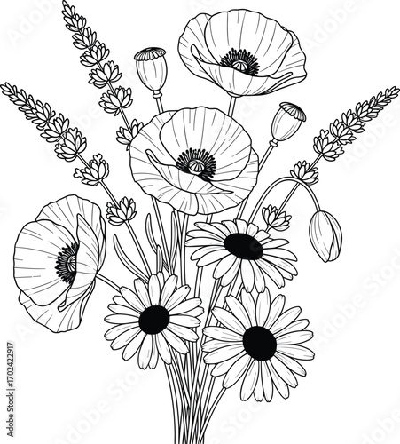 Elegant hand-drawn floral bouquet with poppies, daisies, and lavender sprigs, ideal for nature art, greeting cards, and botanical design projects.