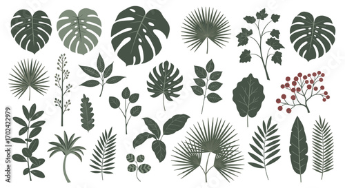 Collection of tropical forest leaves and plants botanical decorative elements vector illustration