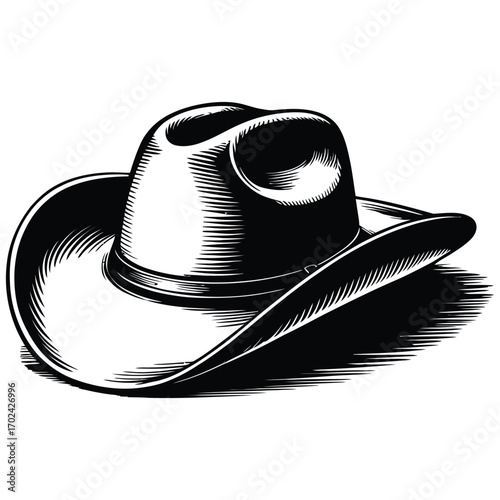 cowboy hat vector illustration