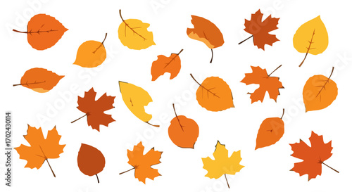 Of autumn leaves collection in orange and gold