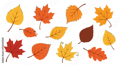 Of set of colorful autumn leaves illustration