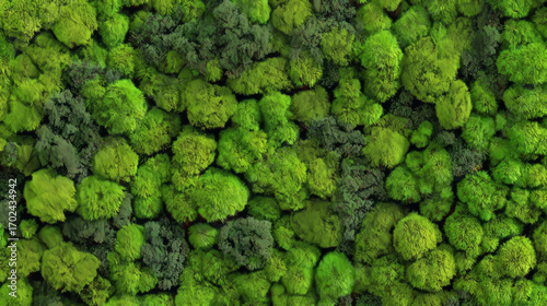 Seamless moss-covered grass wall texture for interior or ambient green design