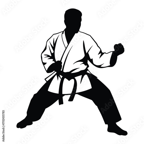 Silhouette of a martial artist in a karate gi performing a powerful defensive stance