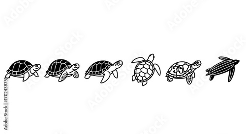 Diverse Line Art Turtles Set Aquatic Wildlife Collection