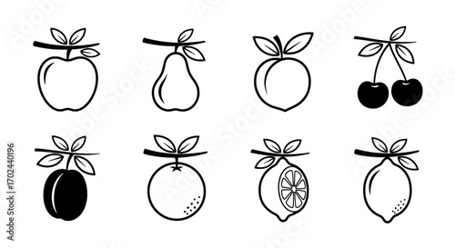 Fruit icons line art of apple, pear, lemon and other fruits