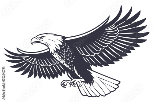 eagle vector illustration