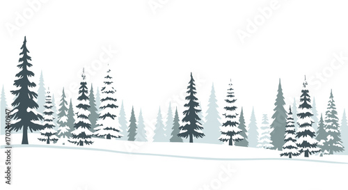 Snowy winter landscape with numerous pine trees.