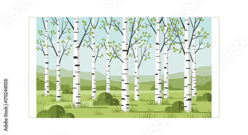 Illustration of a grove of birch trees with green foliage and a grassy meadow under a blue sky.