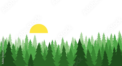 Forest scene with a sun, featuring a dense line of evergreen trees.