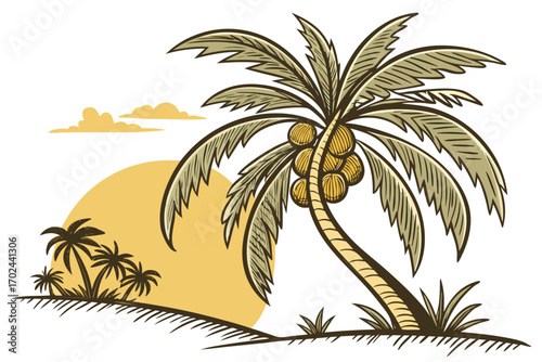 vector illustration of a tropical island