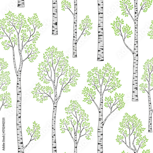 Seamless pattern of birch trees with light green leaves on a white background.