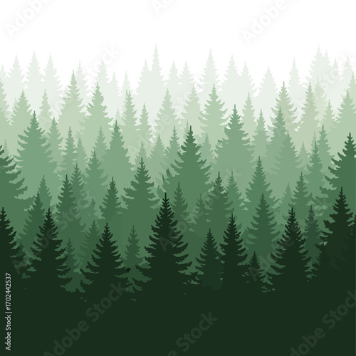 A dense forest of green pine trees with layers fading into a misty white background, creating a sense of depth.