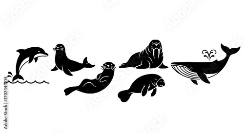 Diverse Marine Mammal Silhouettes in Vector Format