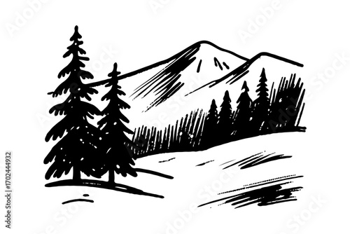 Black and white sketch of snowy mountain peaks and pine trees on white background, hand-drawn style, concept of winter forest wilderness