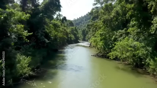Lush River in Tropical Rainforest.