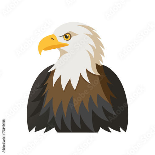 Majestic bald eagle head and shoulders illustration isolated on white background