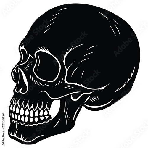 Human Skull Silhouette
