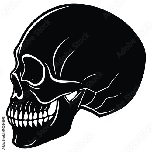 Human Skull Silhouette