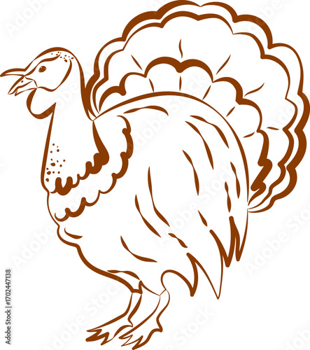 Turkey, bird. Design element, hand-drawn icon, emblem in outline on a white background. Thanksgiving symbol.