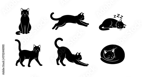Black Cats in Various Poses Illustration