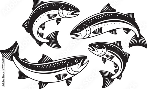 Fish Silhouette Salmon Seafood Freshwater Trout Swimming Animal Wildlife River
