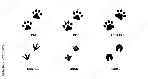Animal footprint chart: cat, dog, leopard, chicken, duck, horse silhouettes