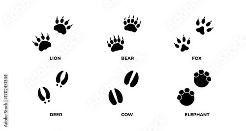 Animal footprints silhouette: lion, bear, fox, deer, cow, elephant