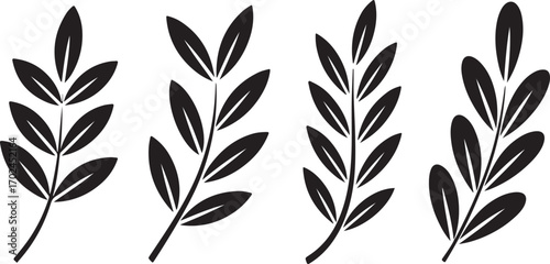 Collection Olive Tree Leaves Branches With Berries Isolated Silhouette